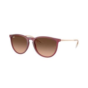 Ray-Ban Erika Brown Pink Gradient Sunglasses - Rubber Violet