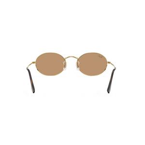 Ray-Ban Oval Flat Lenses Brown Sunglasses - Arista