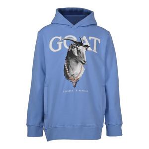 Streetz Iz Watchin Big Boys' Goat Hoodie