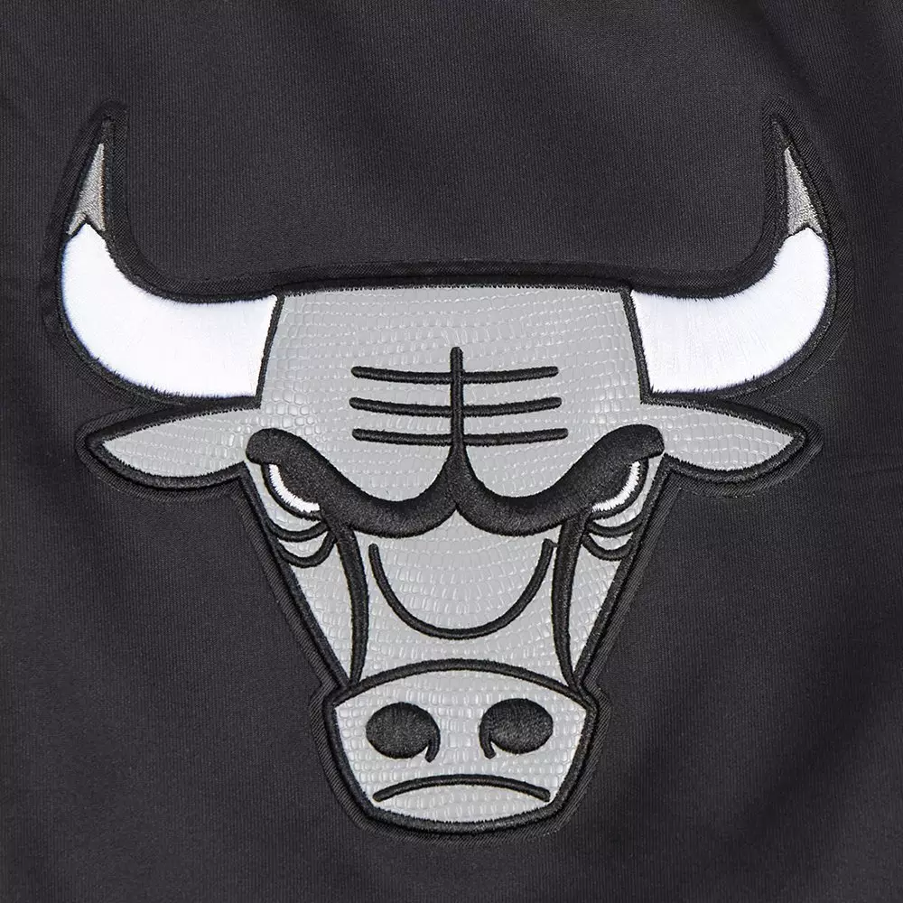 Pro Standard Men's Chicago Bulls Retro AJ 12 "Wolf Grey" Track Jacket-Black - BLACK/GREY