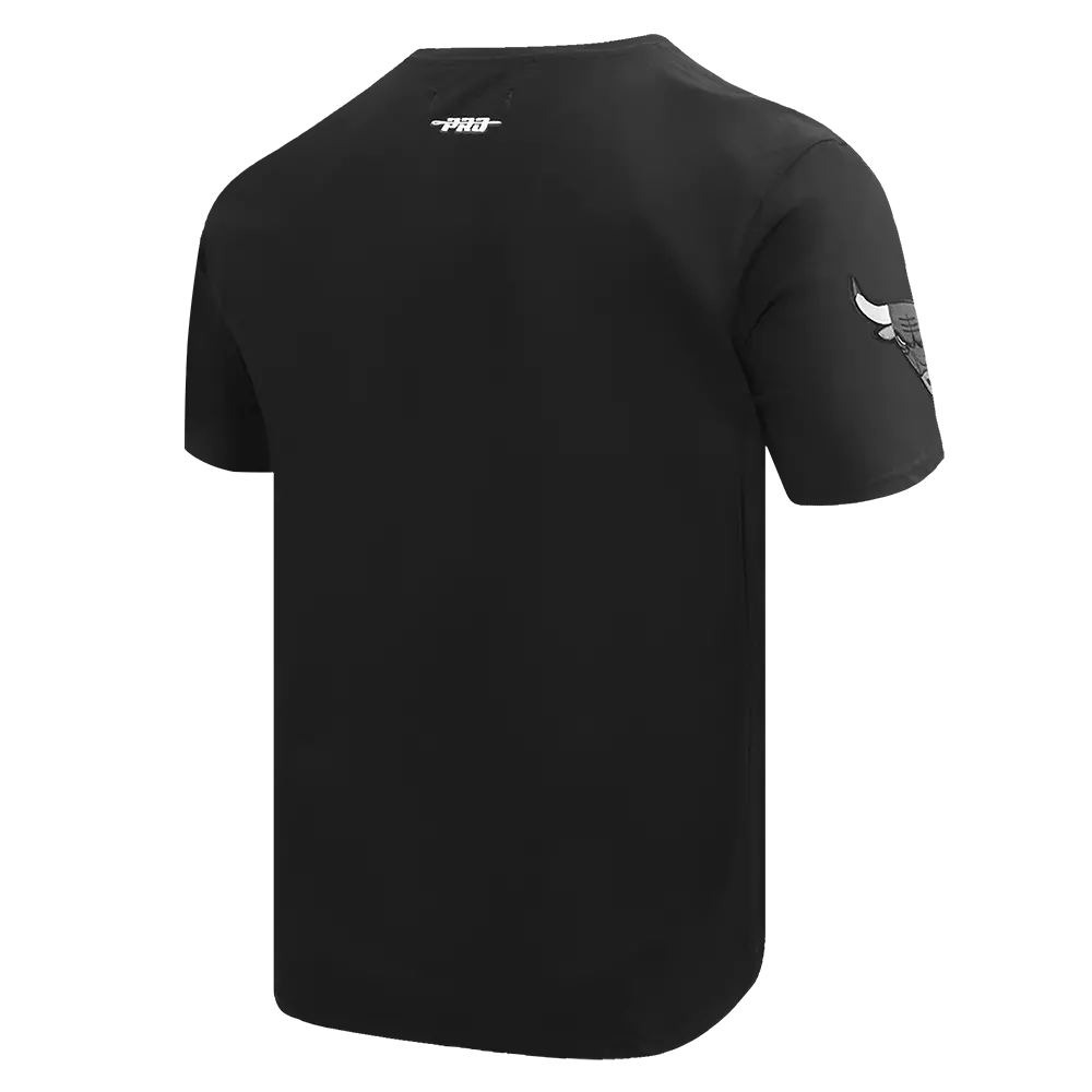Pro Standard Men's Chicago Bulls Retro AJ 12 "Wolf Grey" Tee-Black - BLACK/GREY