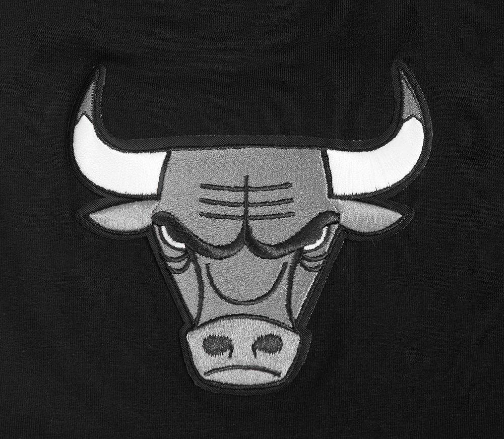 Pro Standard Men's Chicago Bulls Retro AJ 12 "Wolf Grey" Tee-Black - BLACK/GREY Thumbnail View 4