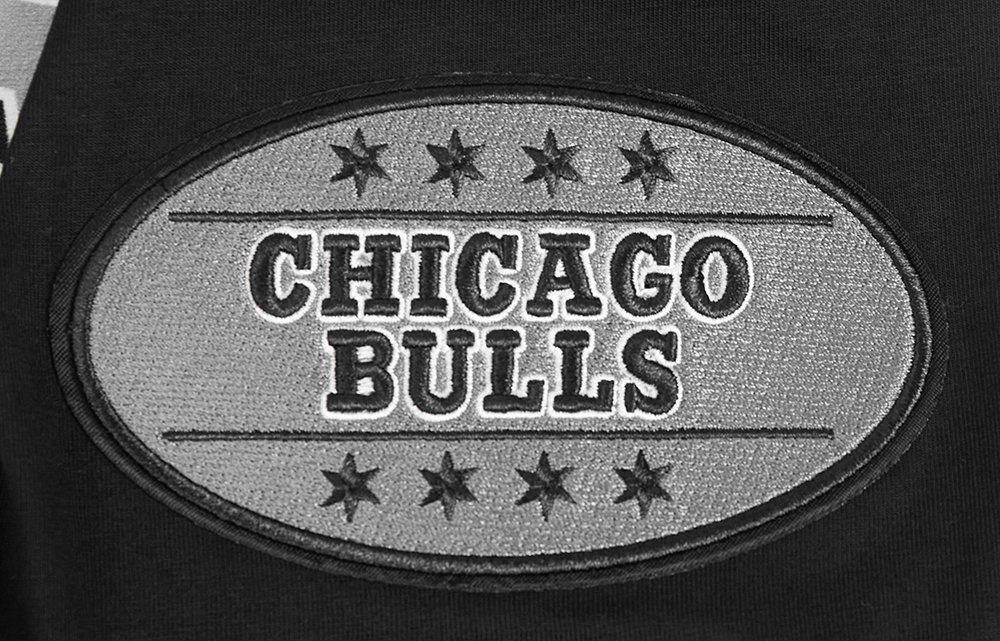 Pro Standard Men's Chicago Bulls Retro AJ 12 "Wolf Grey" Tee-Black - BLACK/GREY Thumbnail View 5