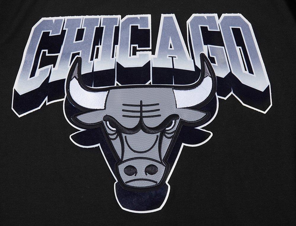 Pro Standard Men's Chicago Bulls Retro AJ 12 "Wolf Grey" Tee-Black - BLACK/GREY Thumbnail View 3