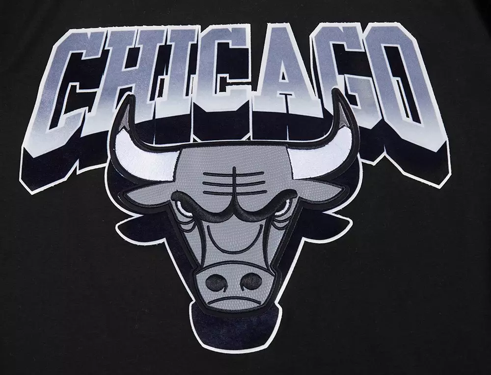 Pro Standard Men's Chicago Bulls Retro AJ 12 "Wolf Grey" Tee-Black - BLACK/GREY