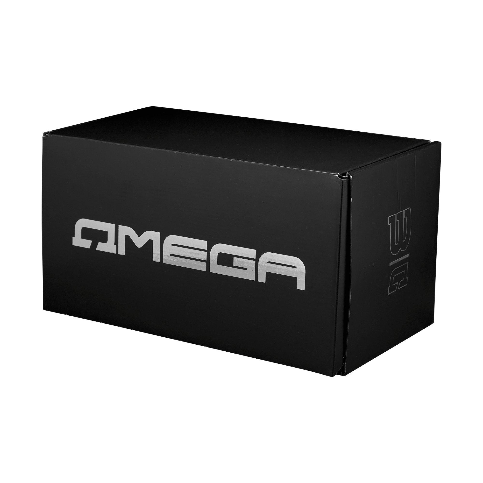 Wilson Omega Official Football