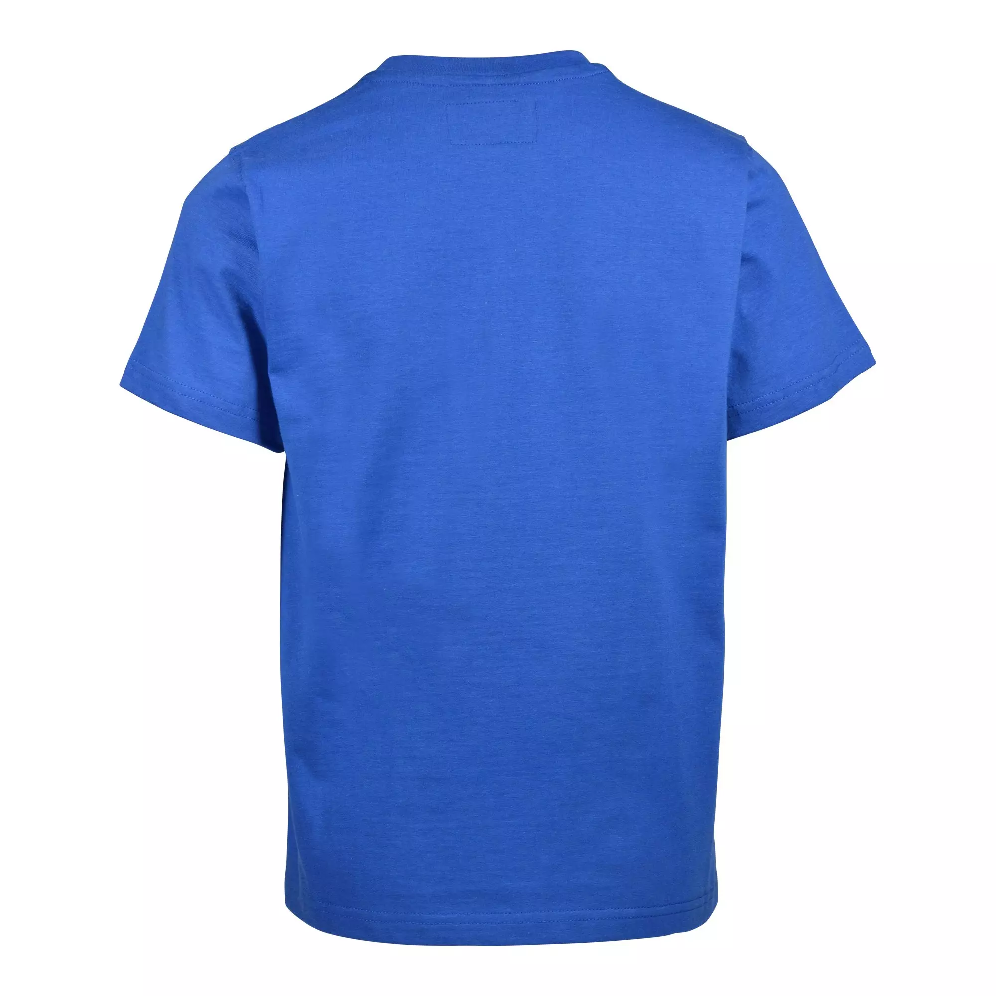 Reason Big Boys' Grateful Tee - ROYAL