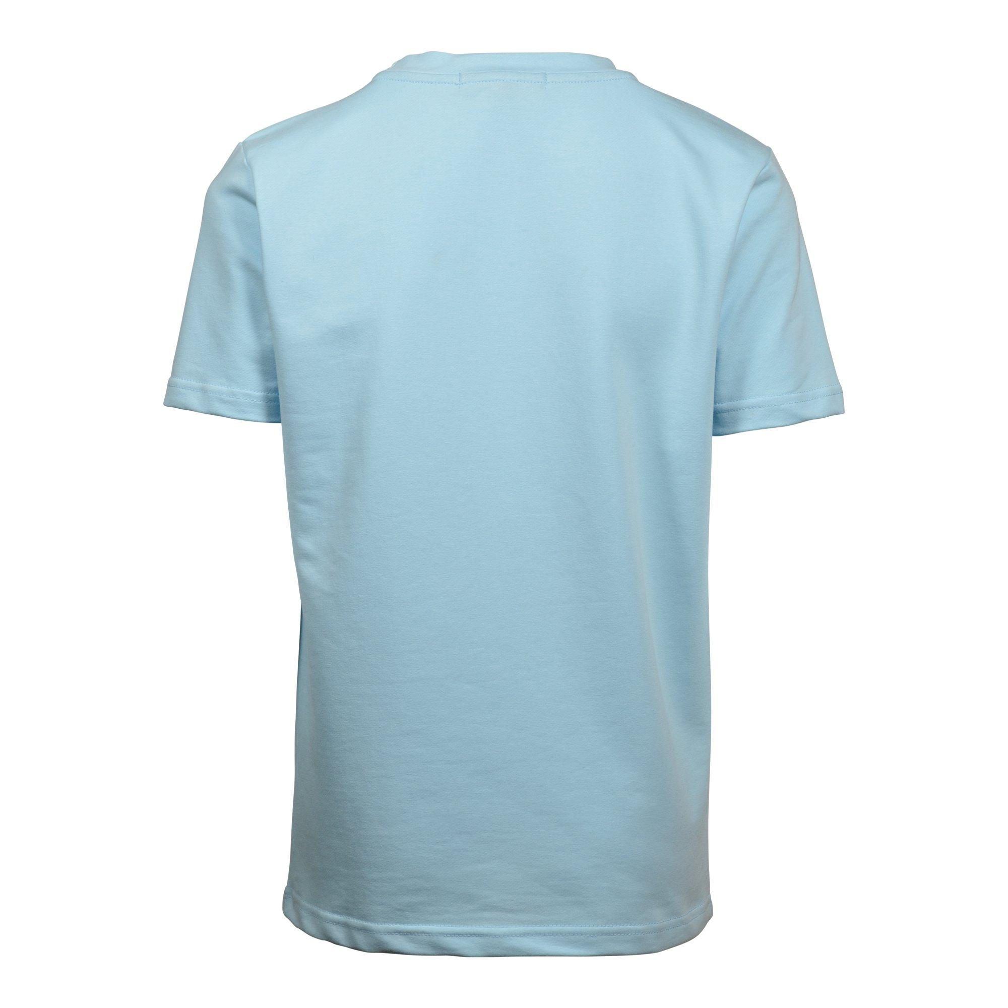 Streetz Iz Watchin Hustle Bear Big Boys' Powder Blue Tee