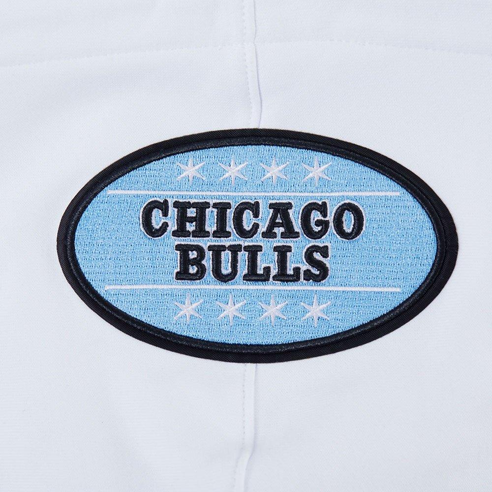 Pro Standard Men's Chicago Bulls Legend Blue Hoodie-Blue - BLUE/WHITE Thumbnail View 5