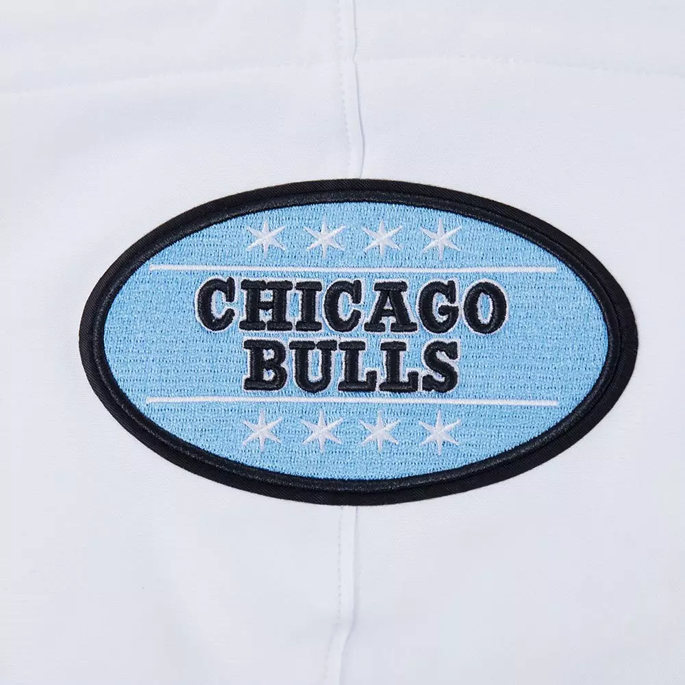 Pro Standard Men's Chicago Bulls Legend Blue Hoodie-Blue - BLUE/WHITE