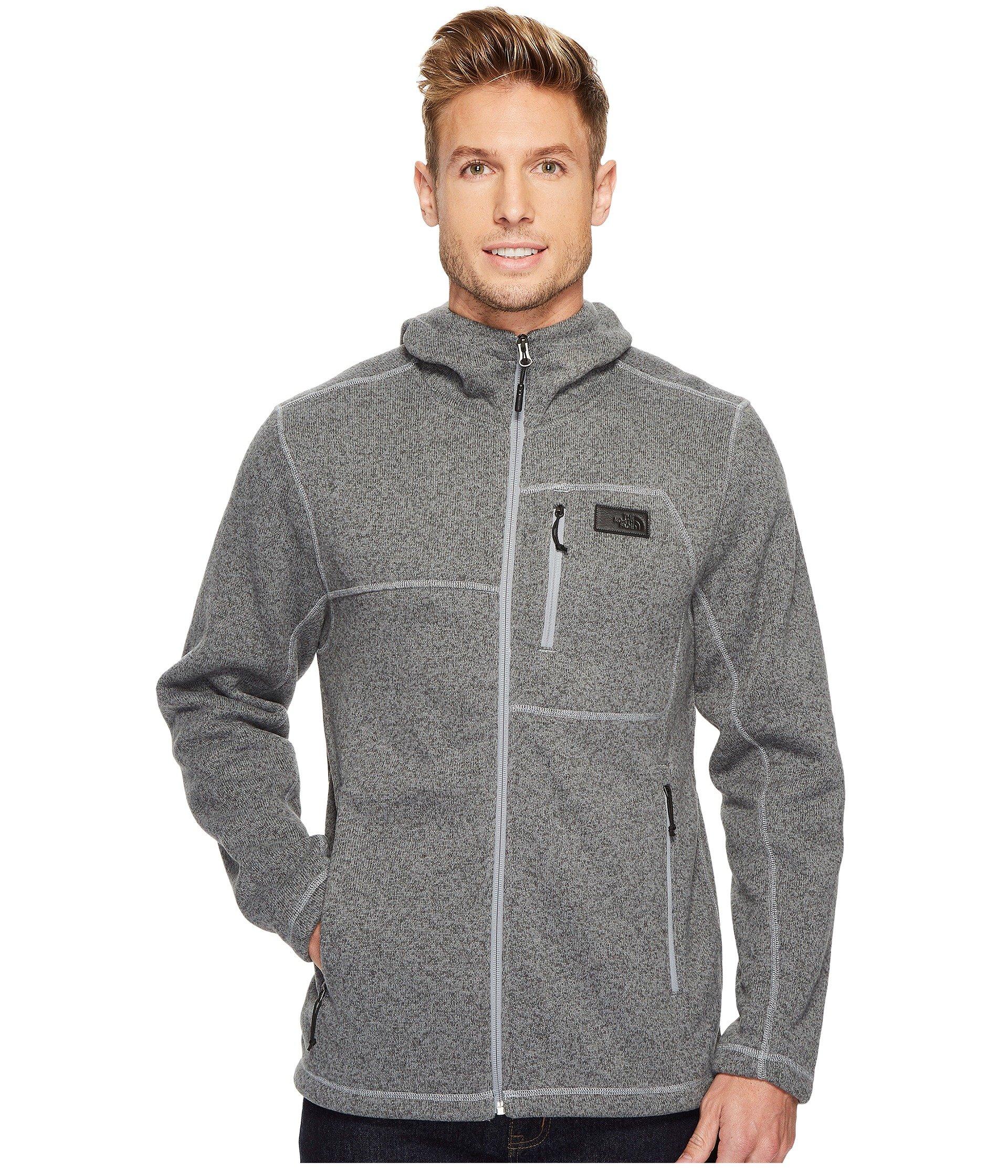 the north face men's gordon lyons hoodie