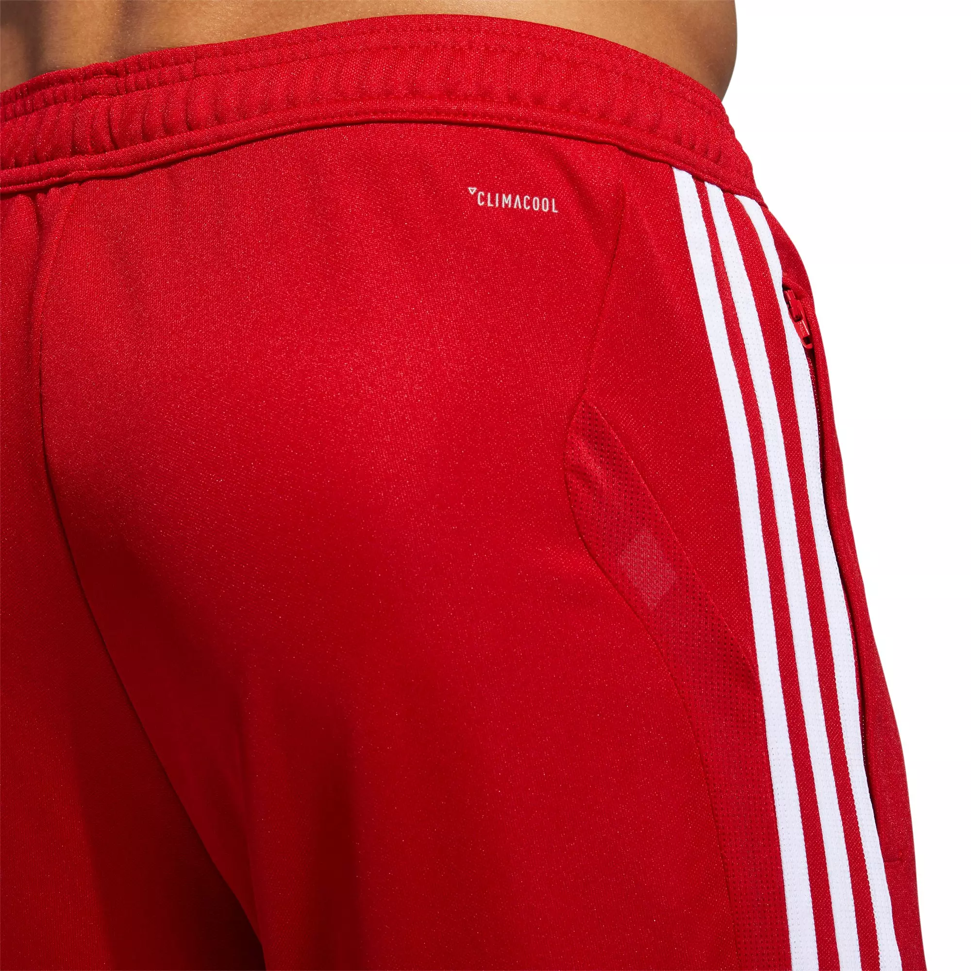 adidas Men's Tiro 19 Red/White Training Pant - RED/WHITE
