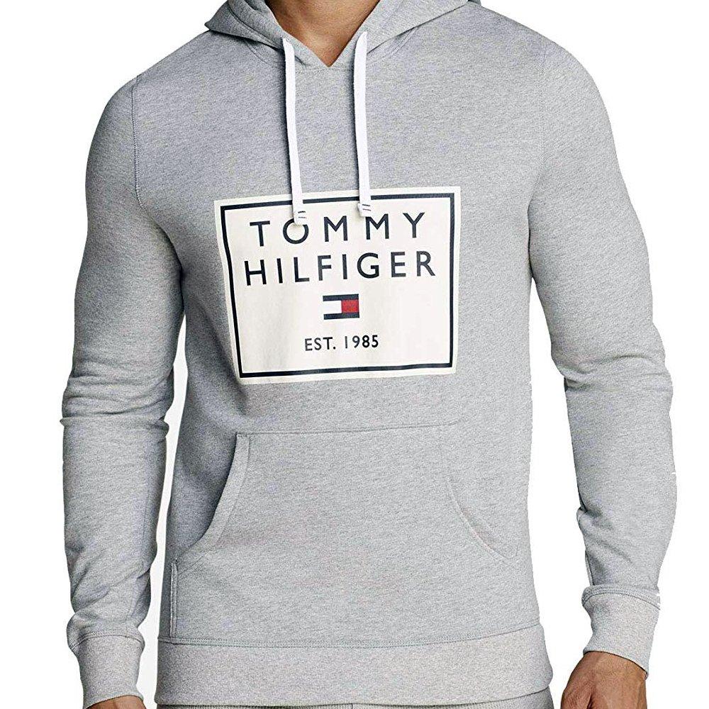 tommy hilfiger box logo hoodie