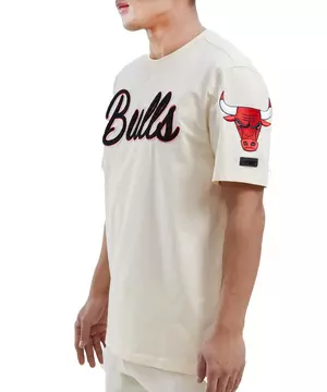 Nike Men's Chicago Bulls Black Max 90 T-Shirt