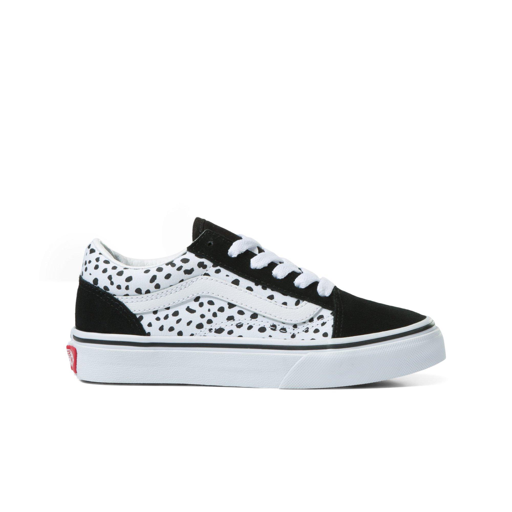 Hibbett store sports vans