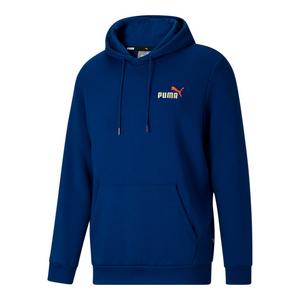 Puma hot sale regime hoodie