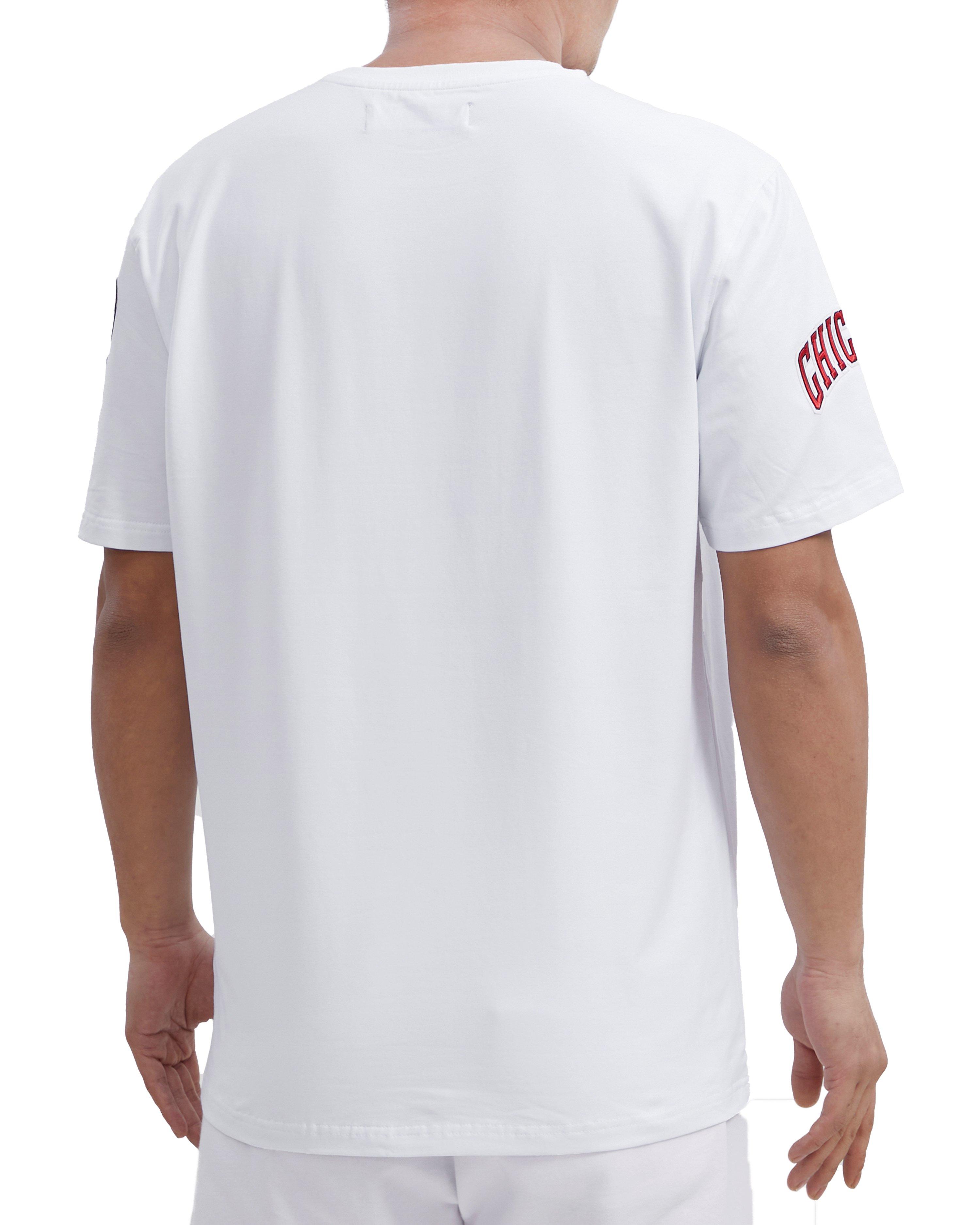 Pro Standard Men's Chicago Bulls Paisley T-Shirt - White - Hibbett