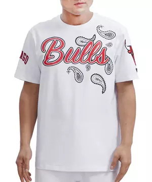 chicago bulls t shirts for men
