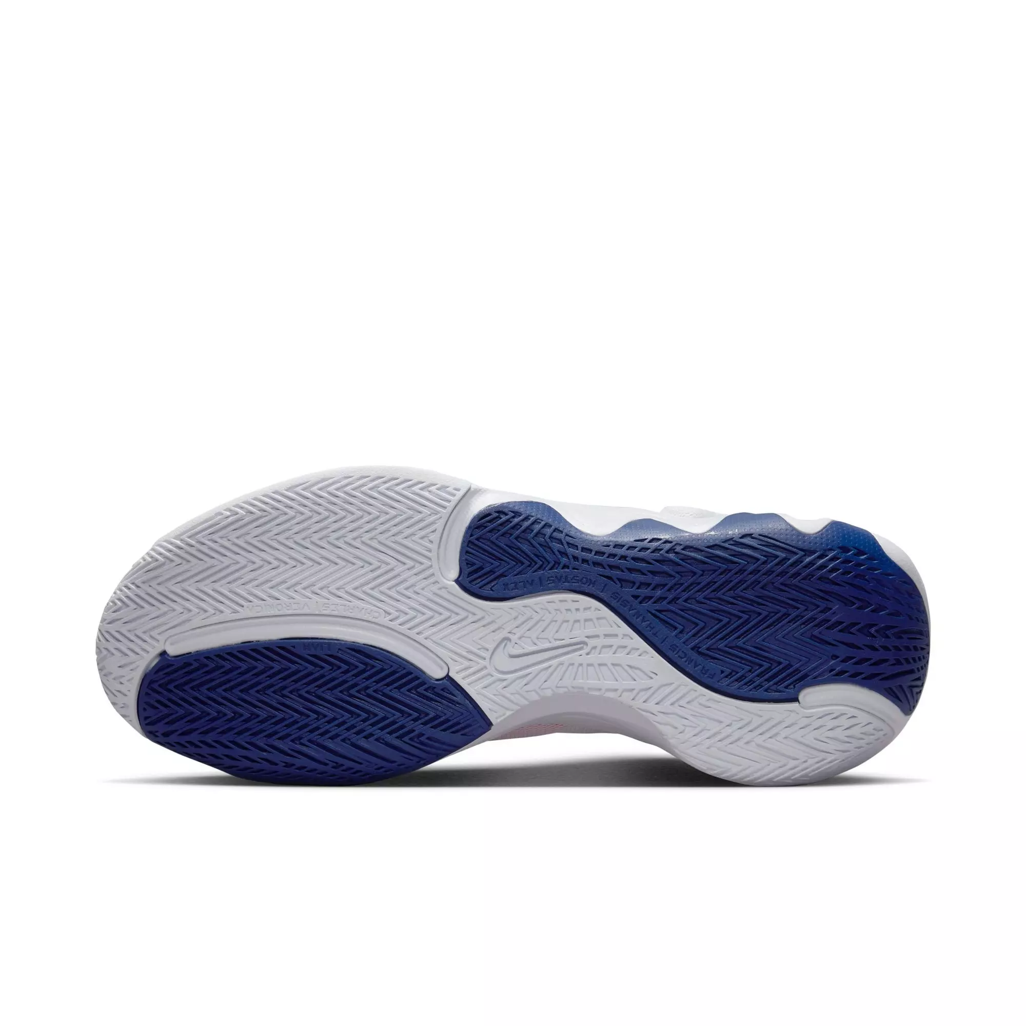 Nike Giannis Immortality 2 "White/Metallic Silver/Deep Royal Blue" Men's Basketball Shoe - WHITE/SILVER