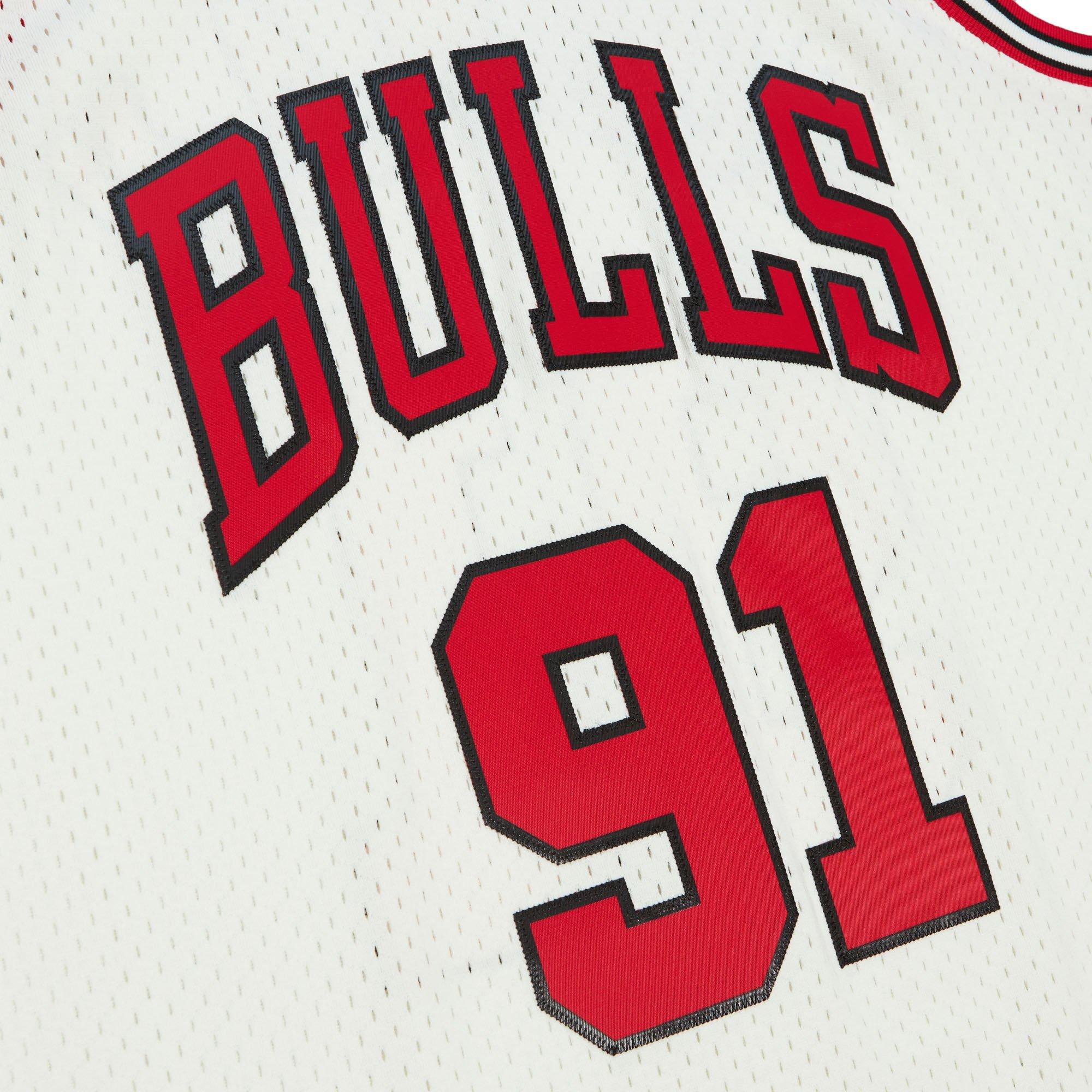 Mitchell & Ness Men's Chicago Bulls Dennis Rodman Pinstripe Swingman Jersey  - Hibbett