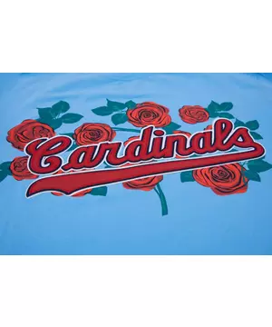Men's St. Louis Cardinals Pro Standard Light Blue Team Logo T-Shirt