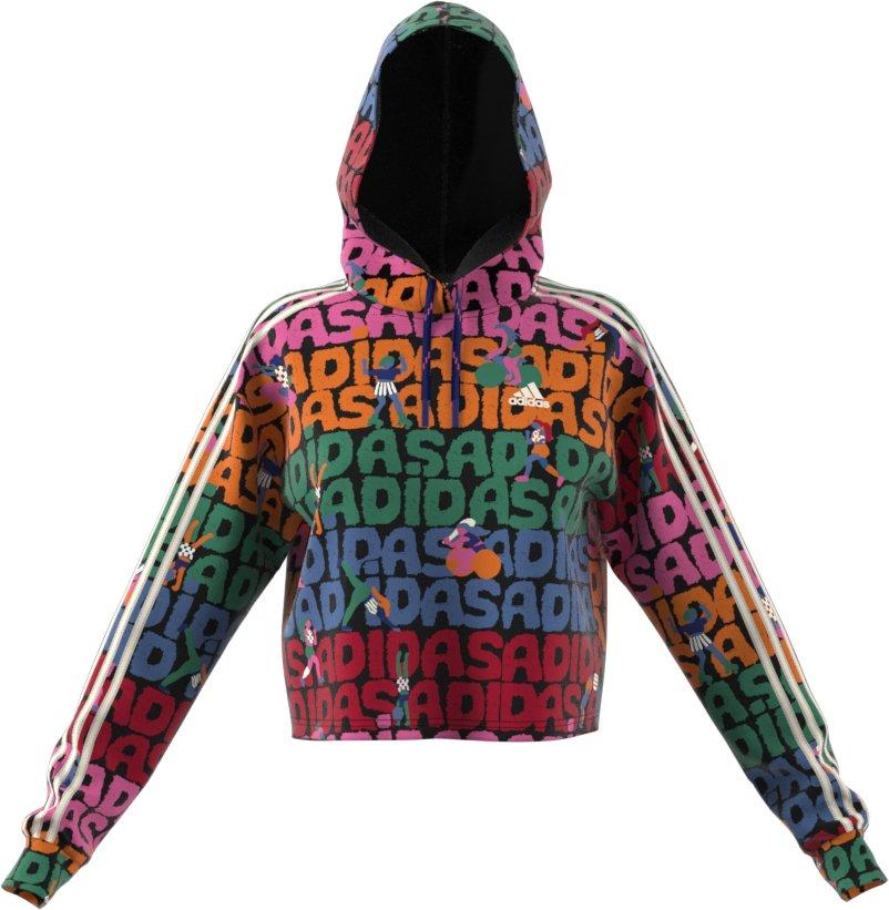 Adidas on sale rainbow hoodie