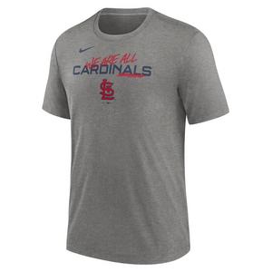 Nike Men's St. Louis Cardinals We Are Team Short Sleeve Top