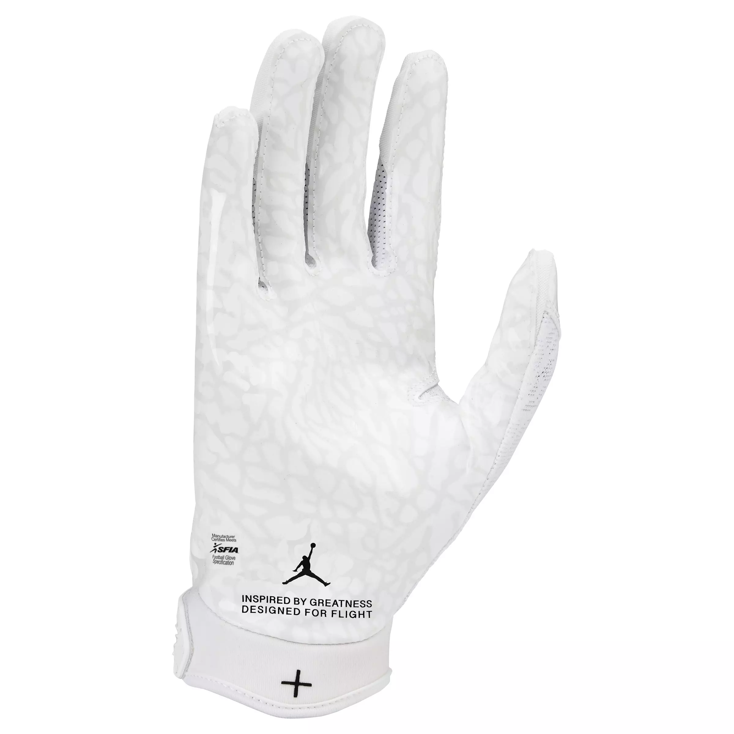 Jordan Fly Lock Football Receiver Gloves - White - WHITE