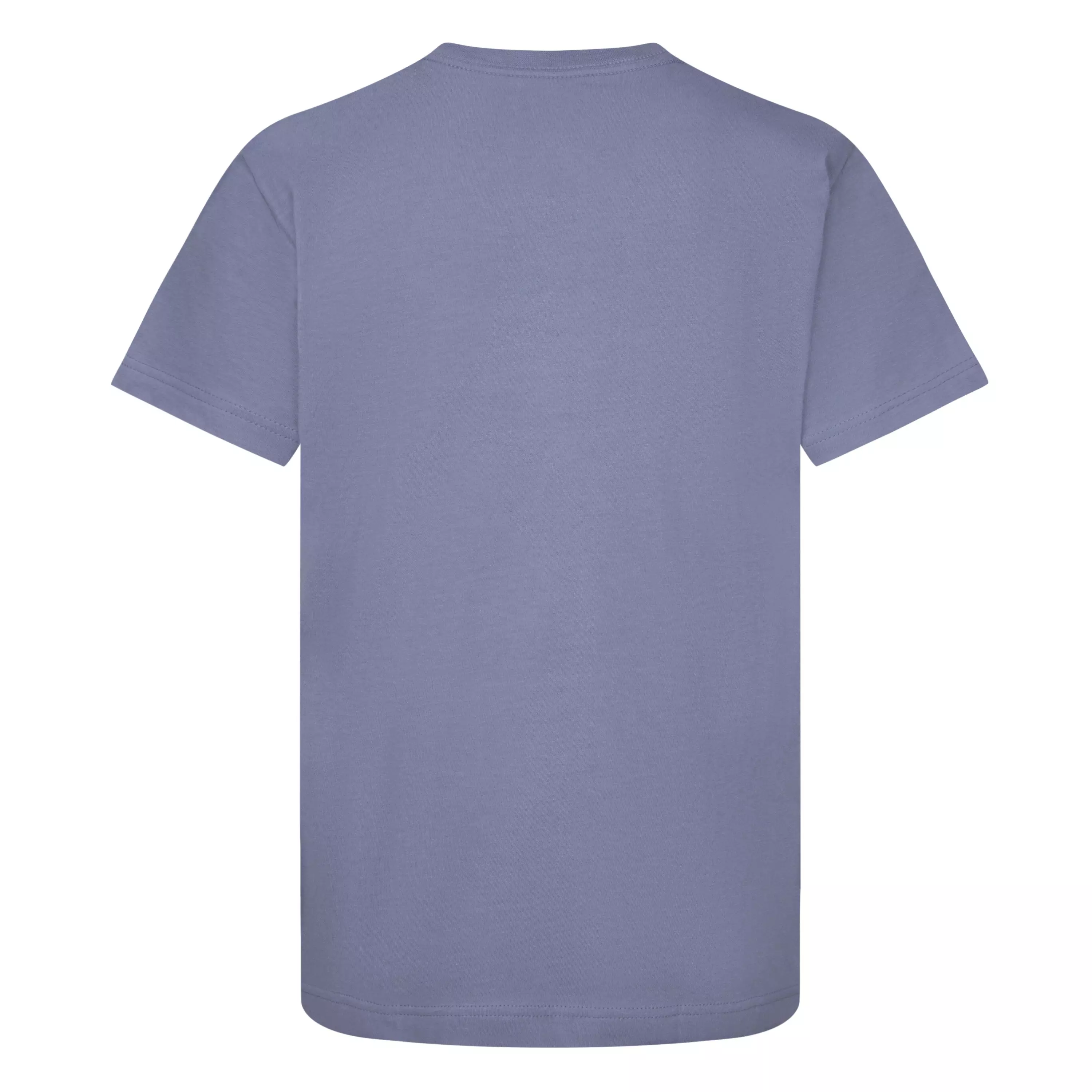 Jordan Big Boys' AJ6 23 Haze Tee - GREY