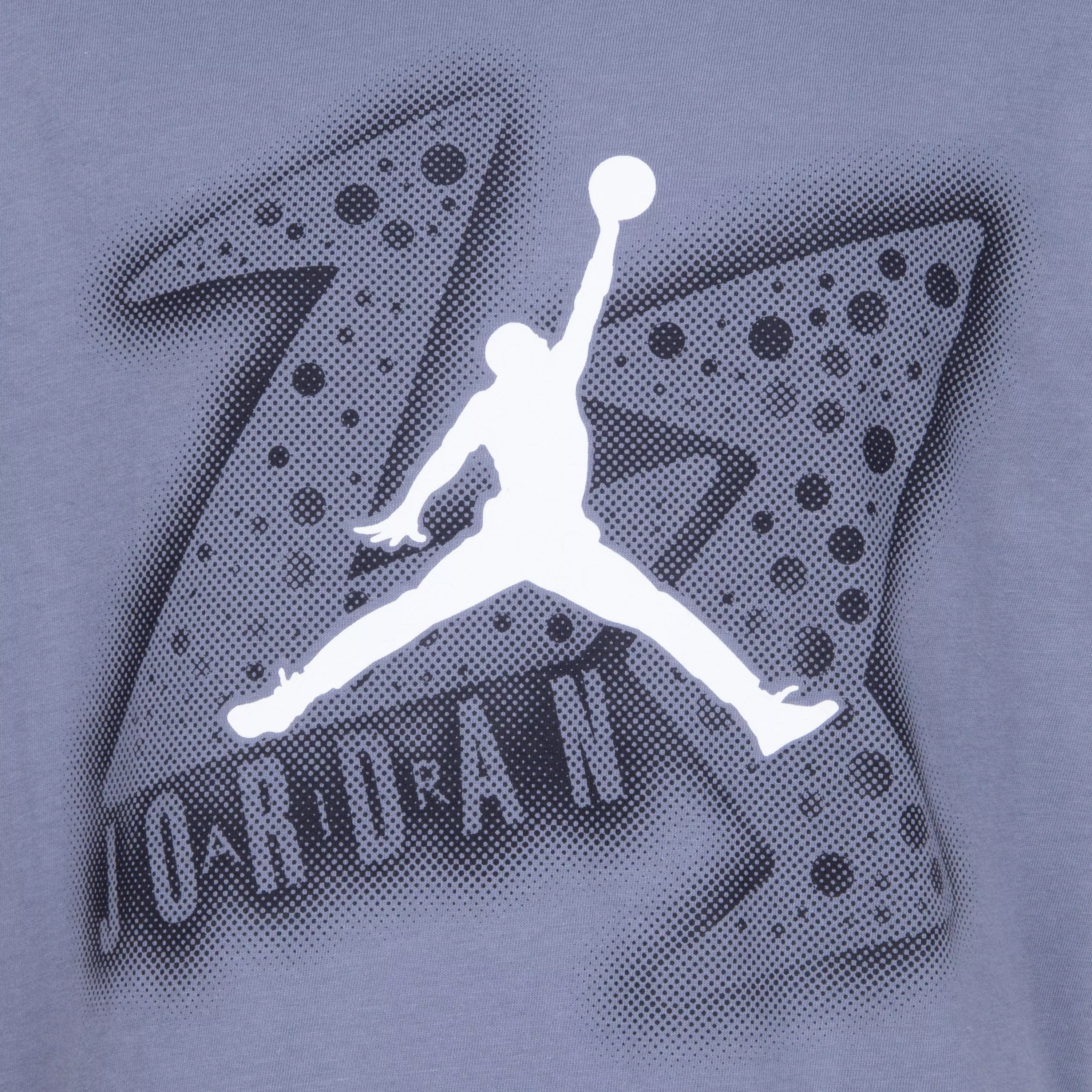 Jordan Big Boys' AJ6 23 Haze Tee - GREY