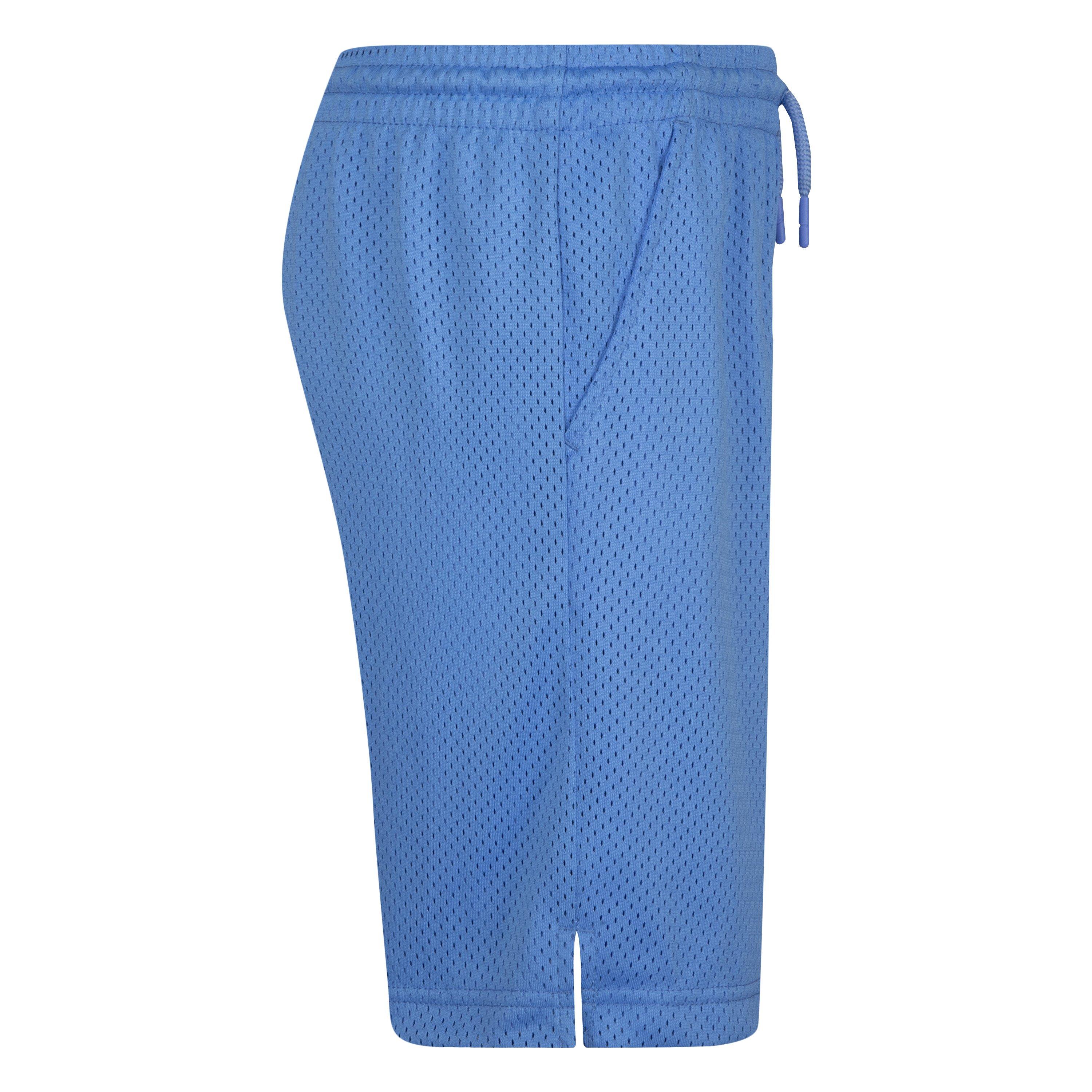 Jordan Big Boys' Essentials Graphic Mesh Shorts-Blue - Hibbett