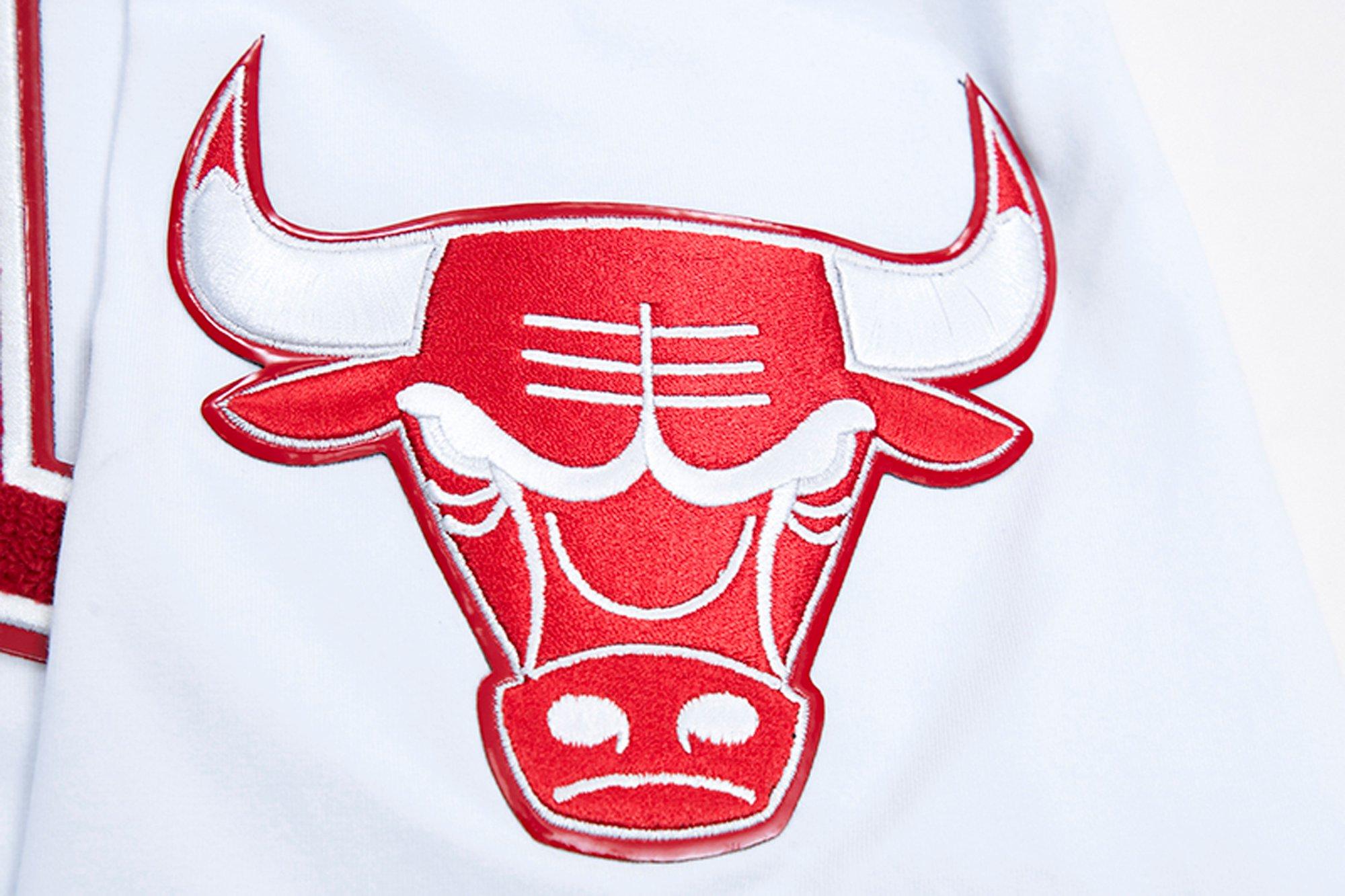 Pro Standard Men's Chicago Bulls Button Front Jersey - Red - Hibbett