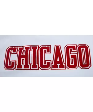 FISLL Men's Chicago Bulls Varsity Button-Down Jacket - Hibbett