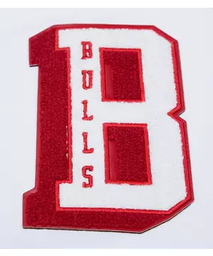 Pro Standard Men's Chicago Bulls Cherry Track Jacket - Hibbett