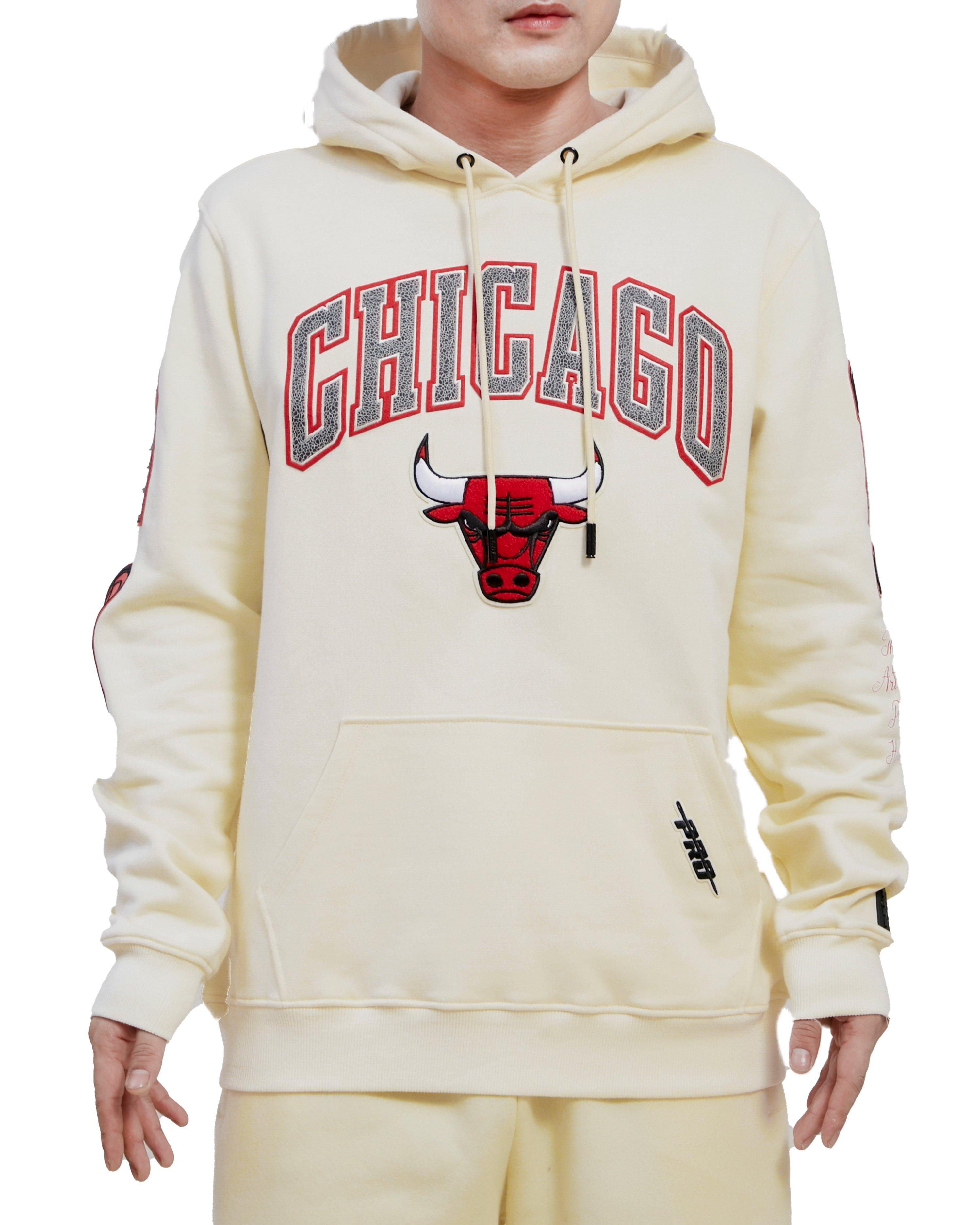 Chicago Bulls Nike NBA Blue Tag Pull-Over Hoodie Black Men's Size
