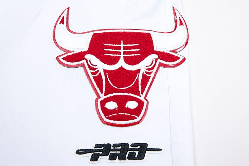 Pro Standard Men's Chicago Bulls Cherry Mono T-Shirt - Hibbett