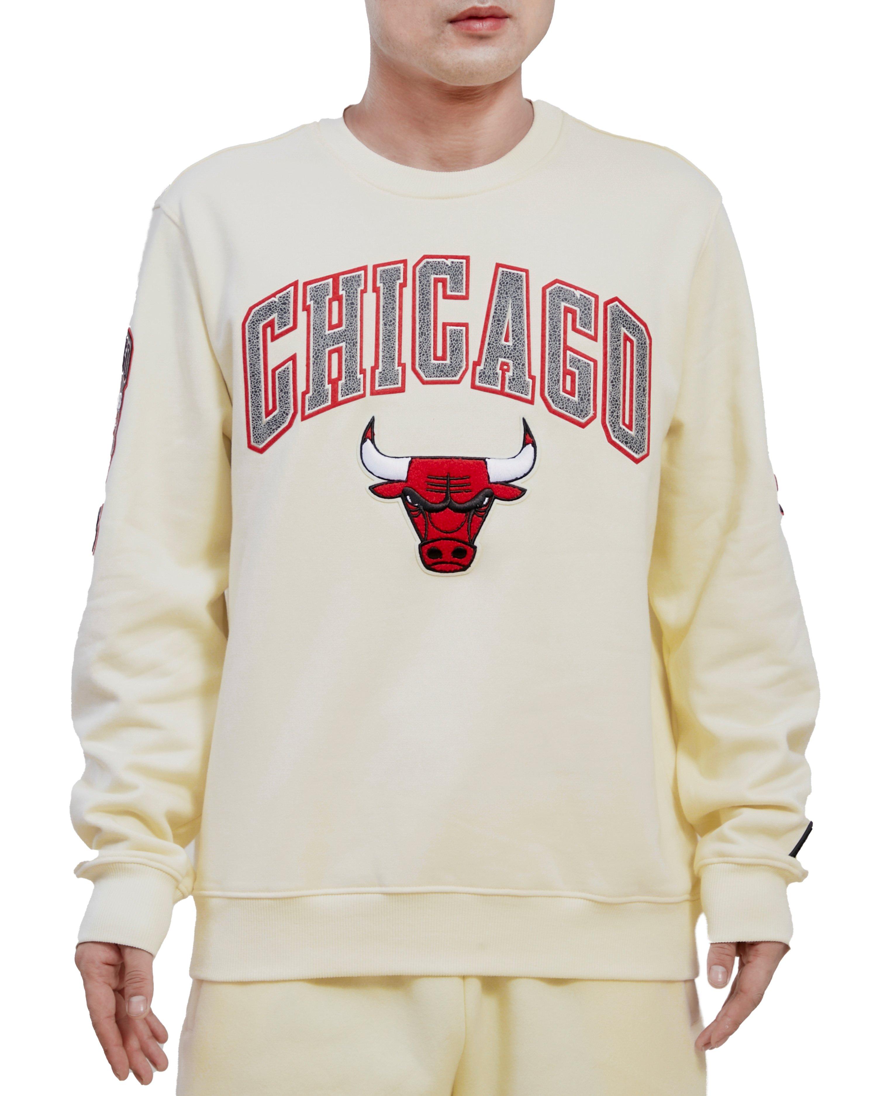 FISLL Men's Chicago Bulls Varsity Jacket - Hibbett