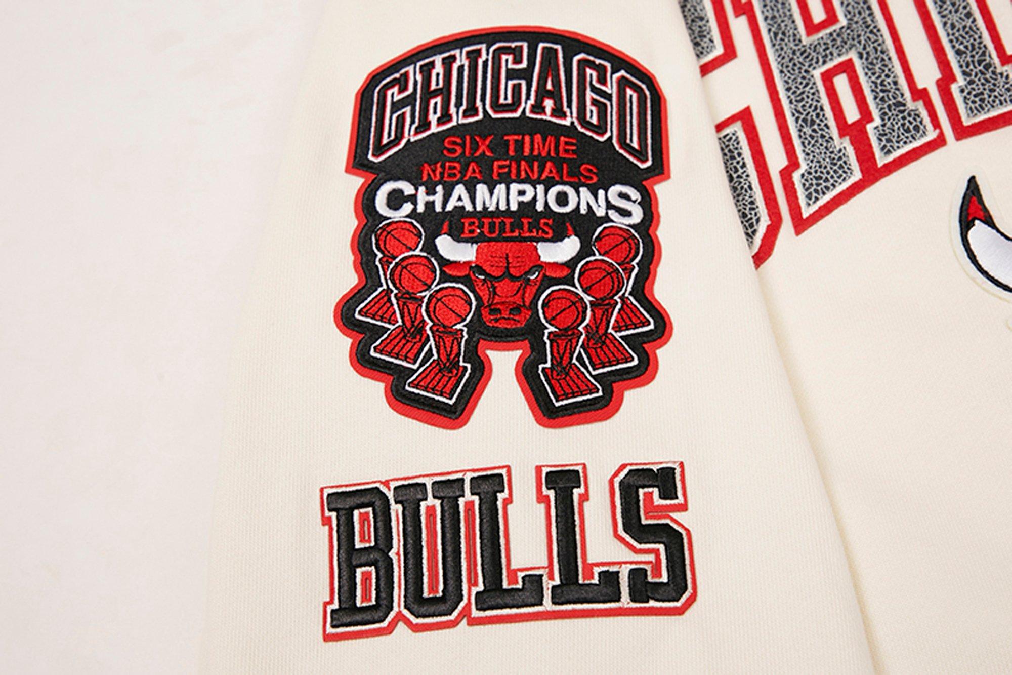 Pro Standard Men's Chicago Bulls Cool Grey 11 Patch T-Shirt - Hibbett