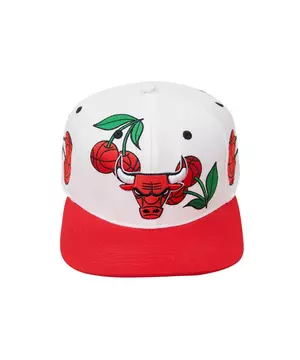 Chicago Bulls Mitchell & Ness Snapback Hat For Jordan 1 Retro Bred Banned