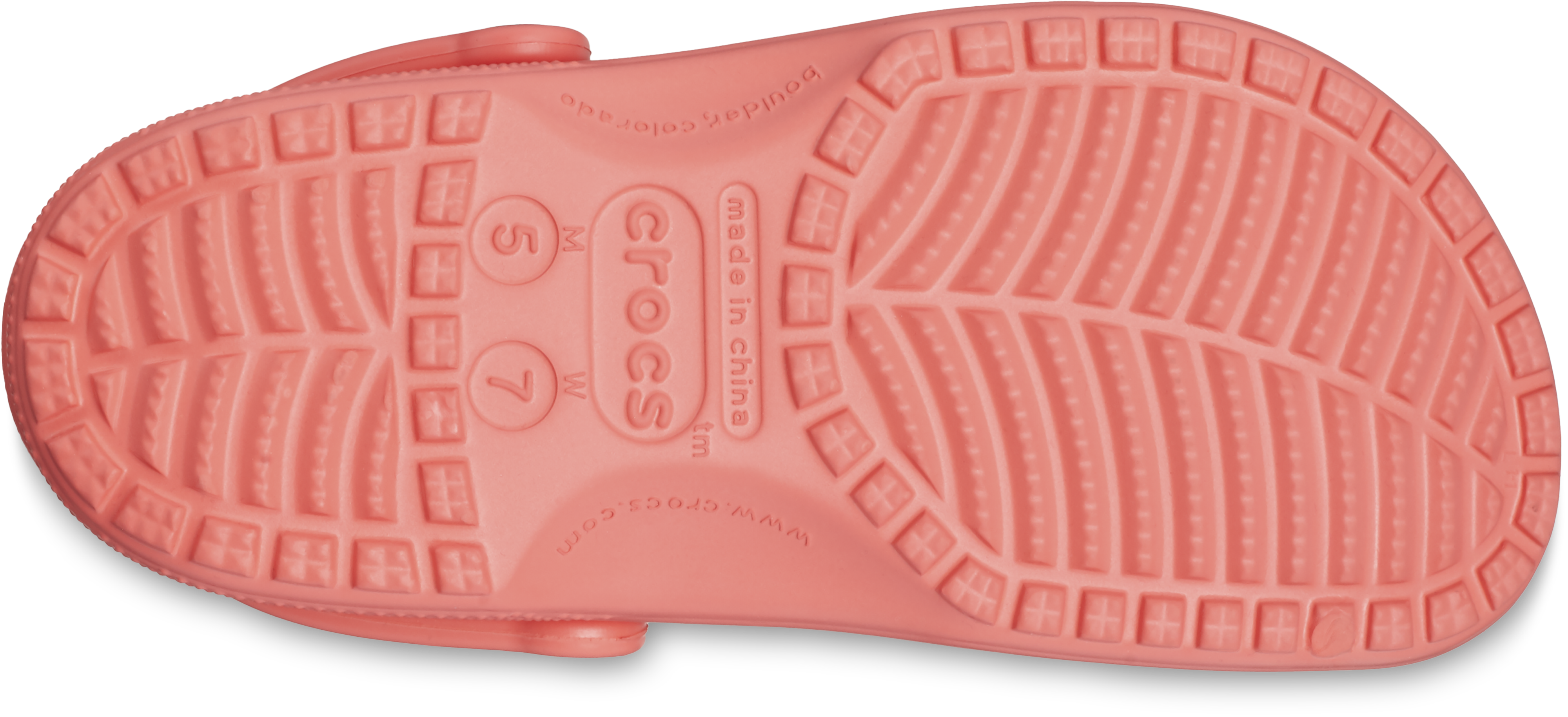 Women's best sale watermelon crocs