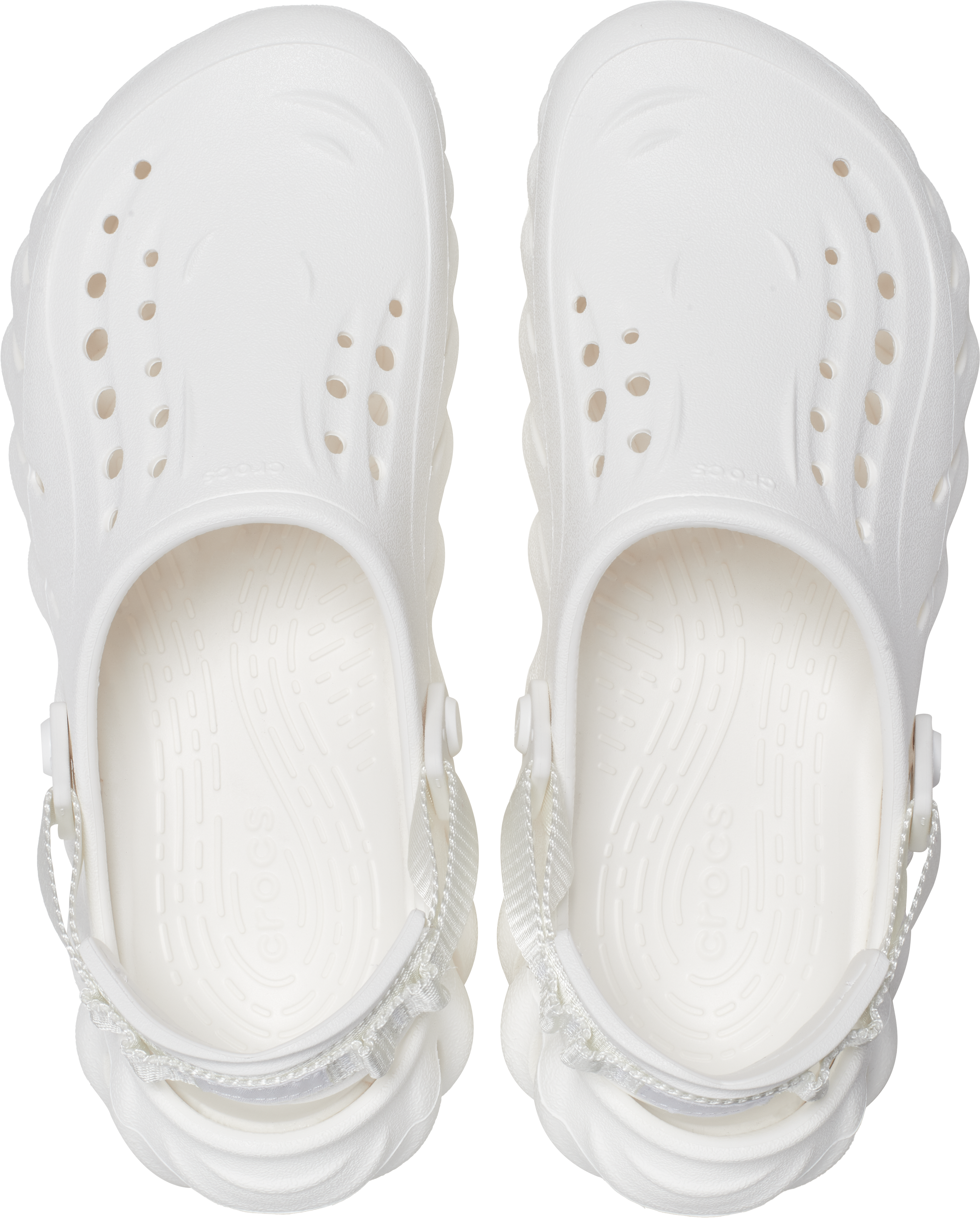 Hibbett hotsell sports crocs