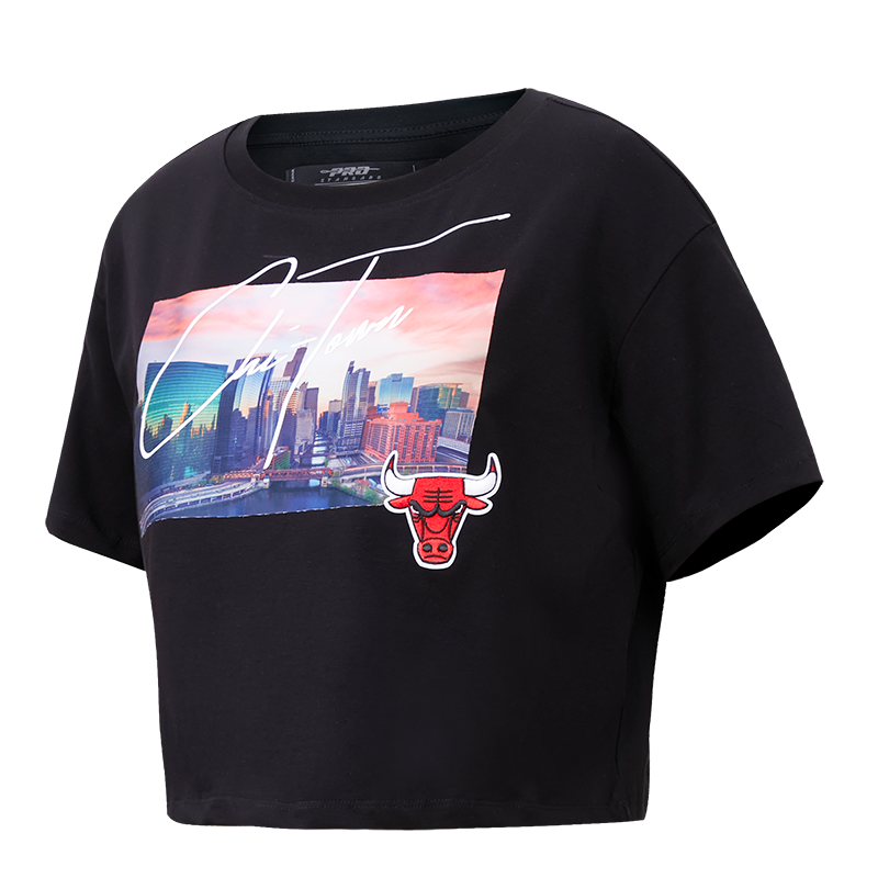 Pro Standard Men's Chicago Bulls Cool Grey 11 Patch T-Shirt - Hibbett