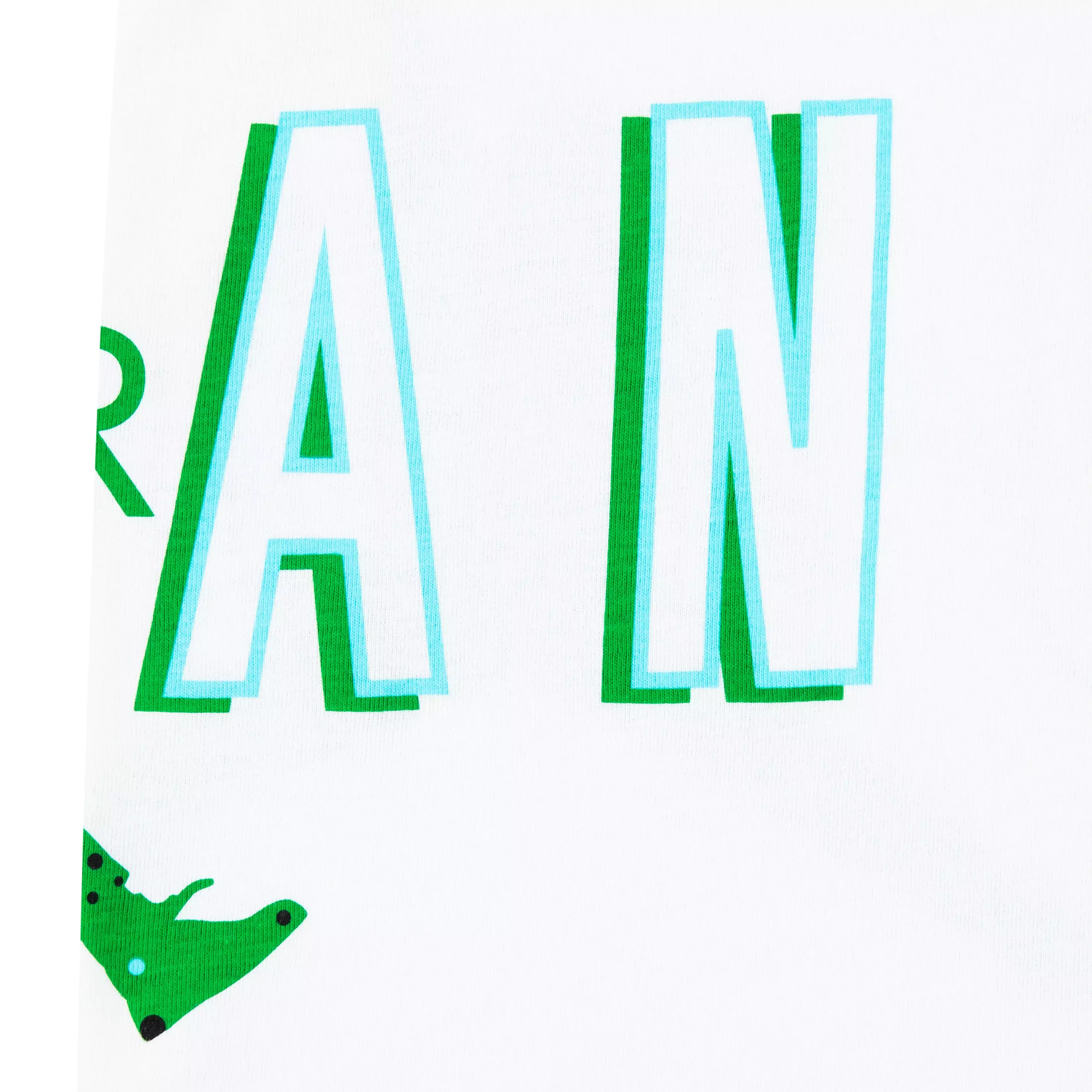 Jordan Little Boys' "Lucky Green" Speckled French Terry Short Set - White/Green - WHITE/GREEN