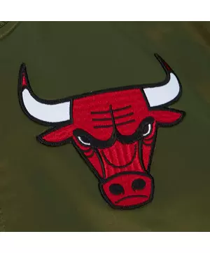 Mitchell & Ness Men's Chicago Bulls Green Flight Hoodie, XL