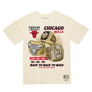 Pro Standard Men's Chicago Bulls Cherry Mono T-Shirt - Hibbett
