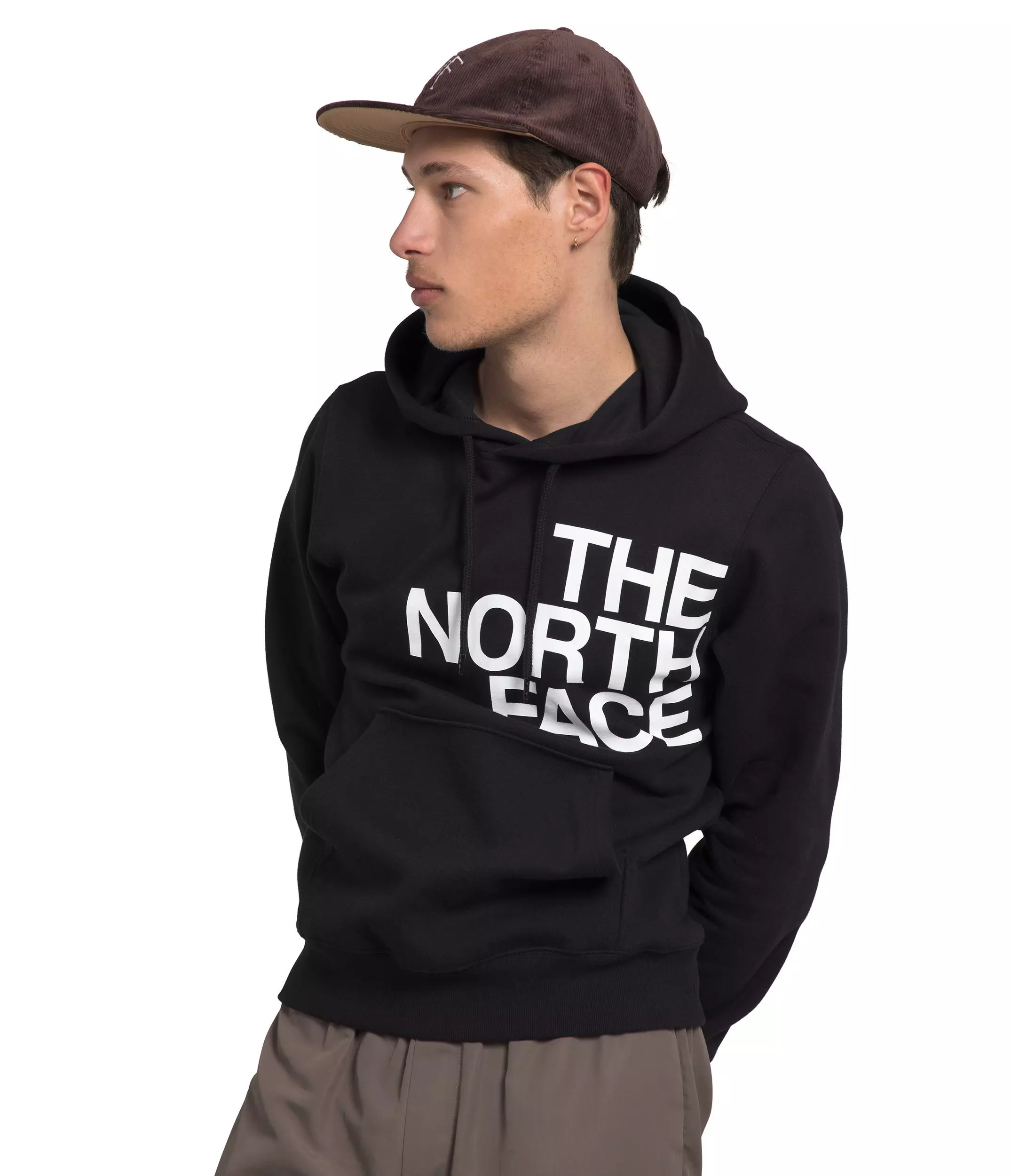 The North Face Men's Brand Proud Half Dome Pullover Hoodie-Black - BLACK