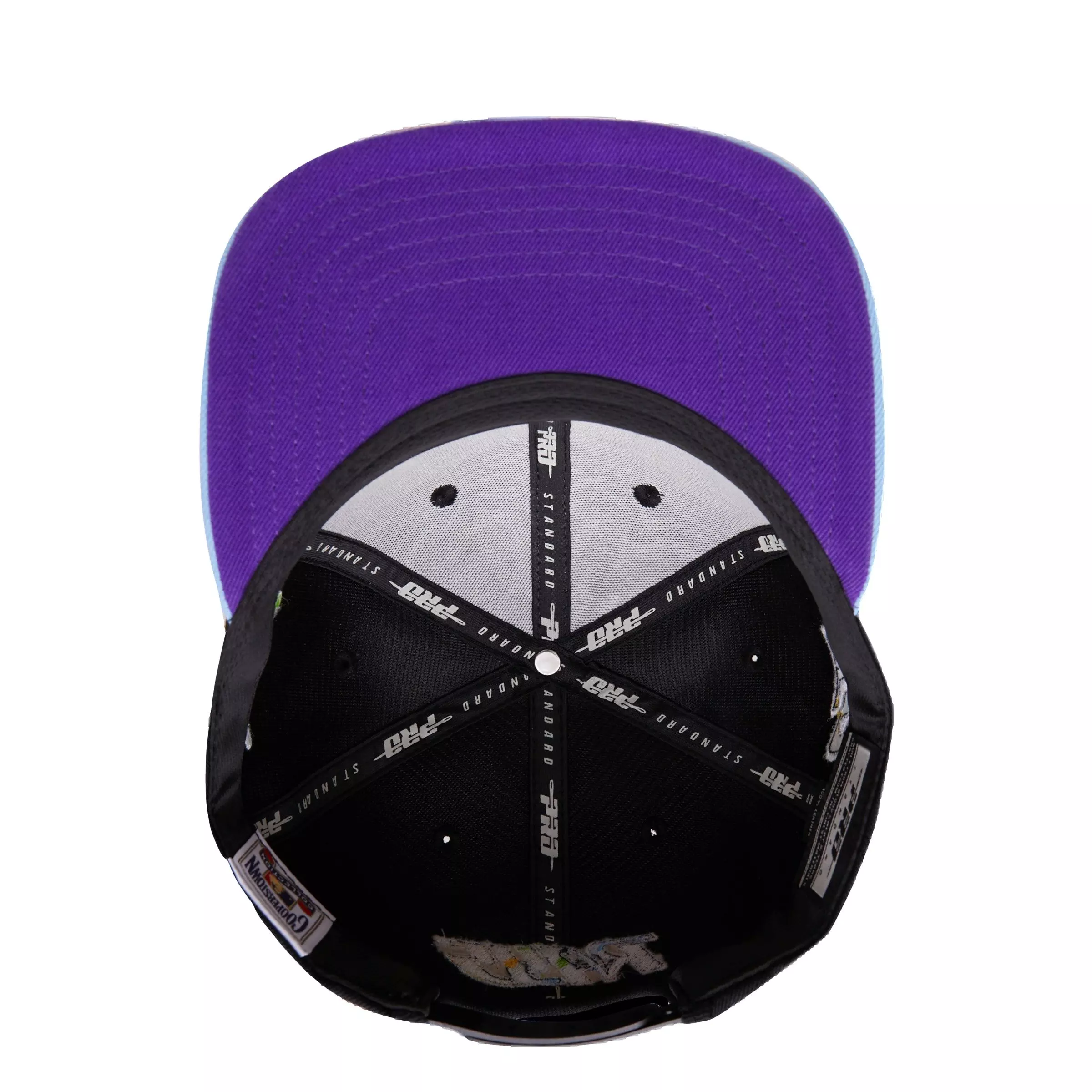 Pro Standard Tampa Bay Devil Rays 2023 Team Snapback - BLACK/PURPLE