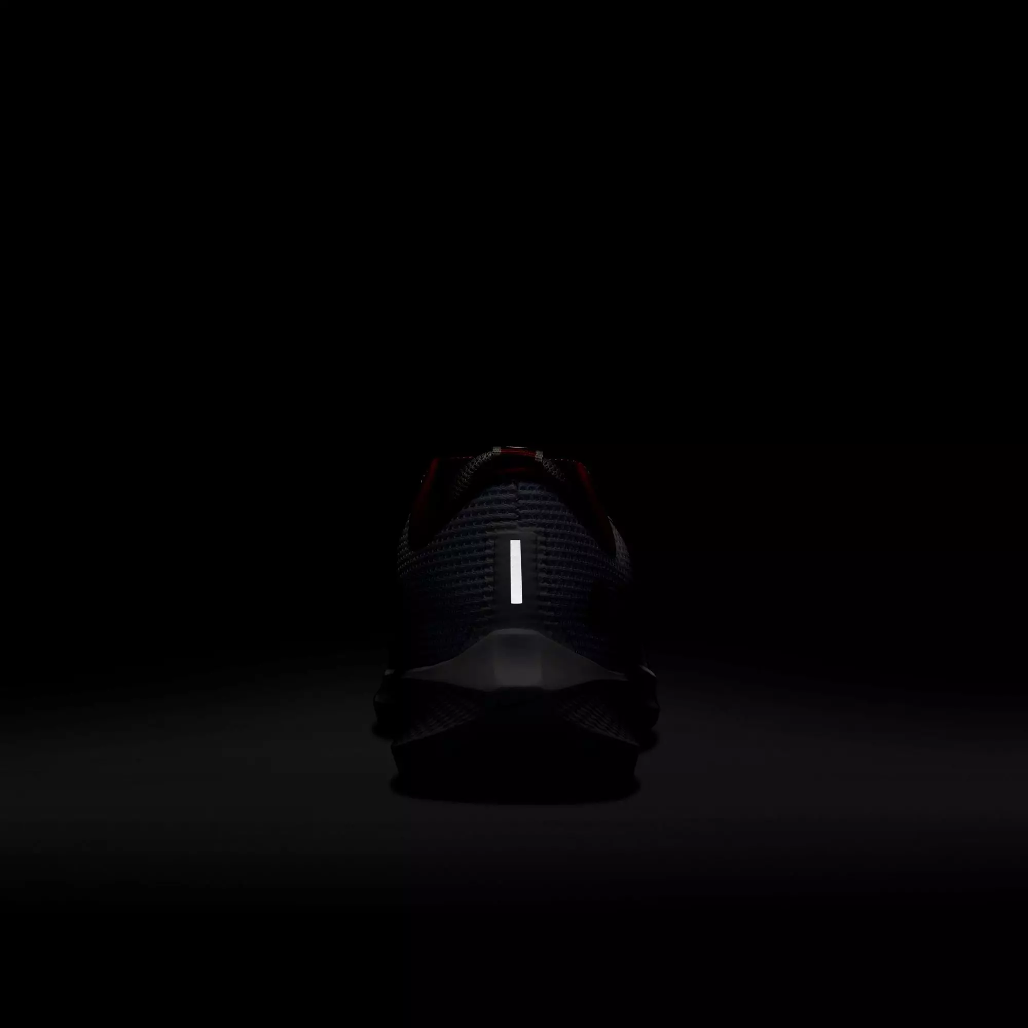 Nike Pegasus 40 "Ohio State" Men's Running Shoe - WHITE/UNIVERSITY RED/PEWTER GREY