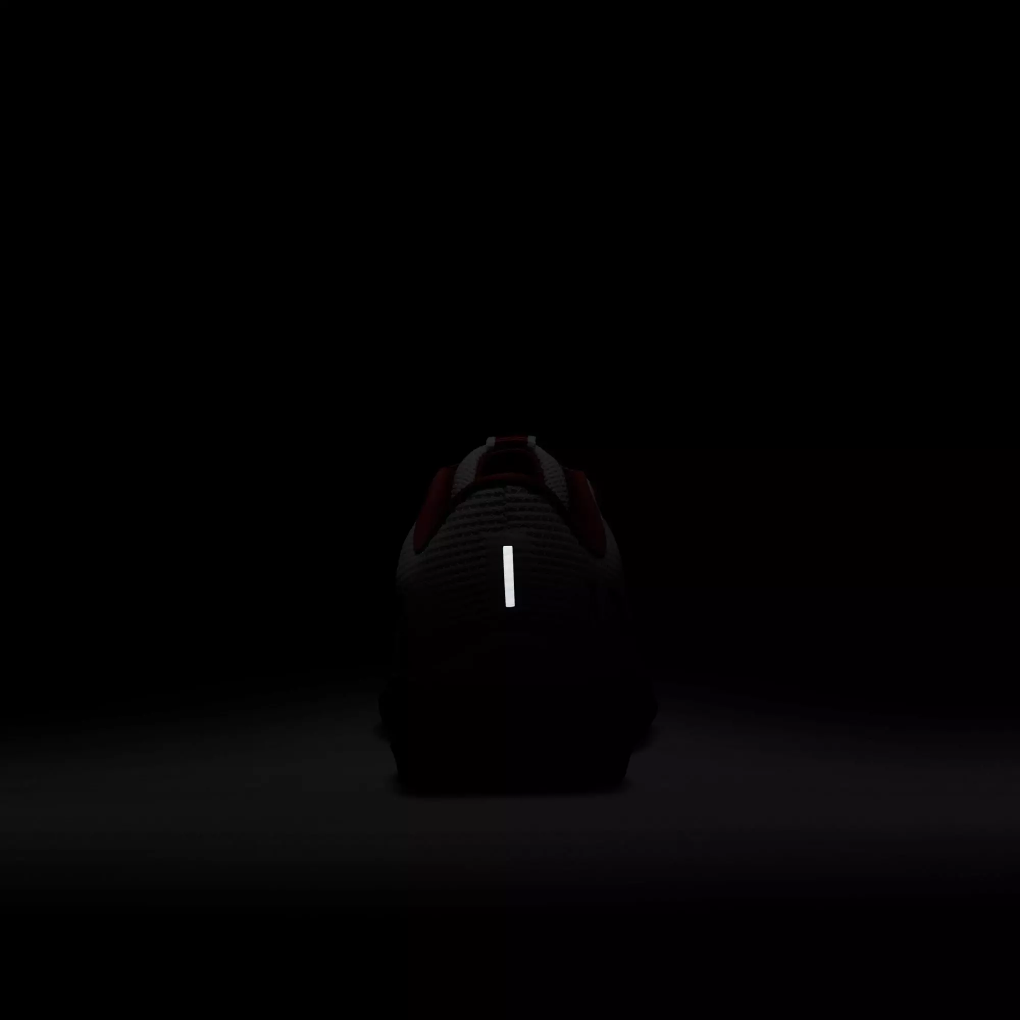 Nike Pegasus 40 "Alabama" Men's Running Shoe - WHITE/TEAM CRIMSON/NIGHT SILVER