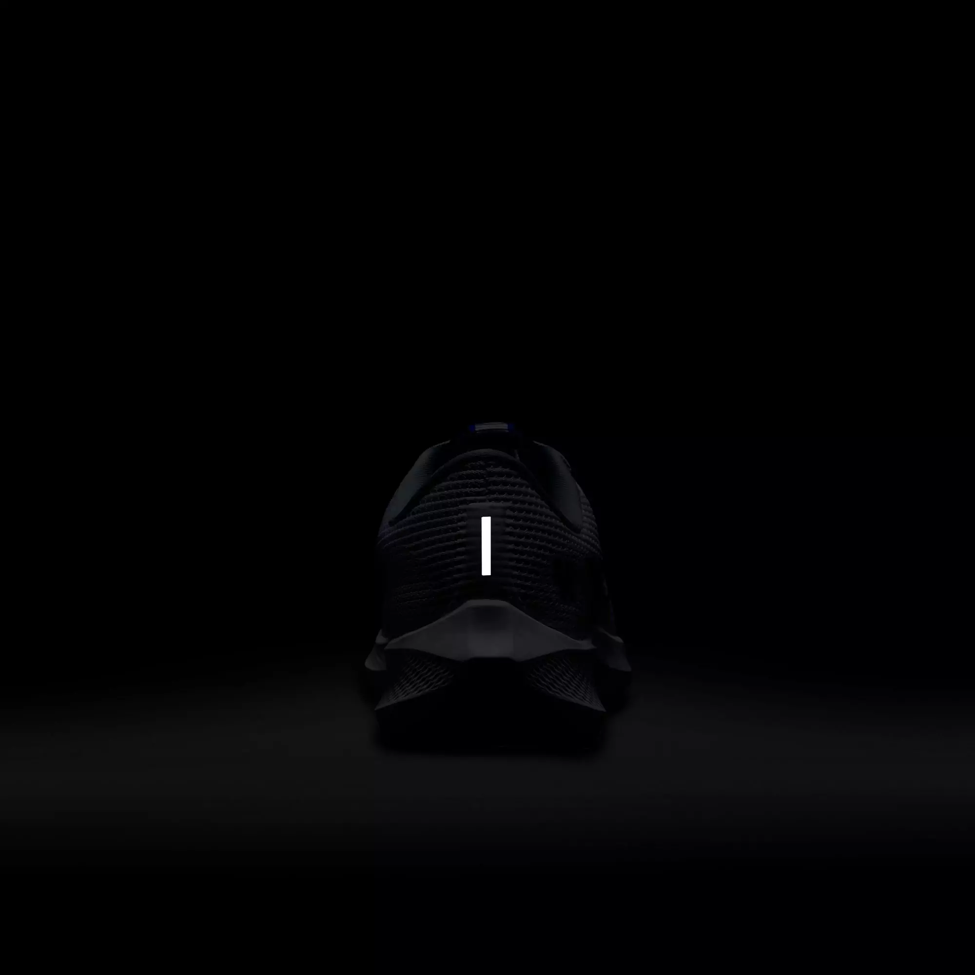 Nike Pegasus 40 "Kentucky" Men's Running Shoe - WHITE/WOLF GREY/TEAM ROYAL